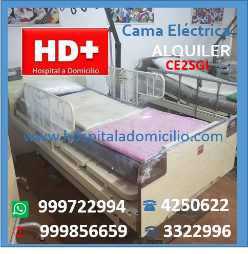 Cama Clinica Electrica CE2SGL Alquiler